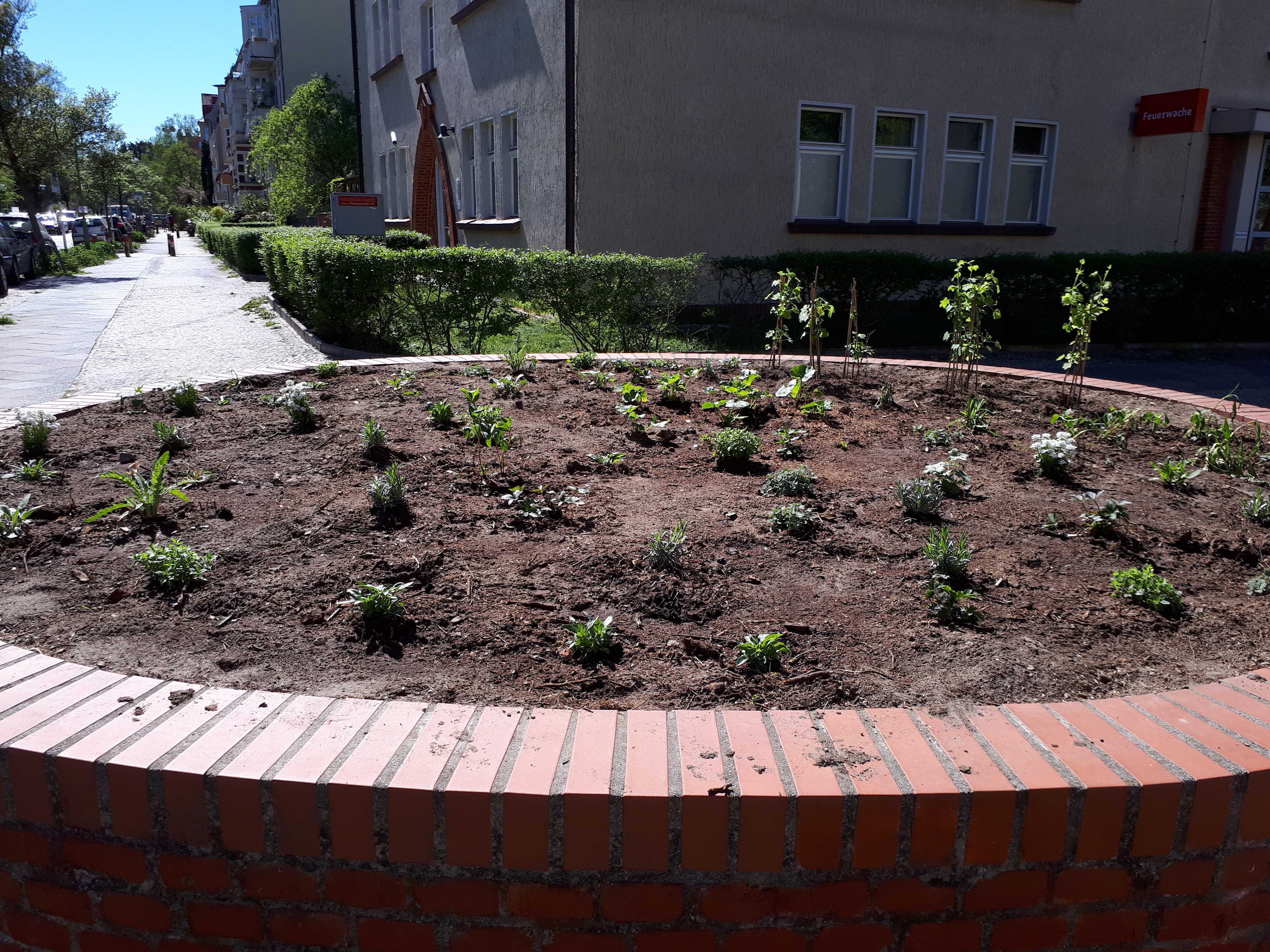 Gartenansicht