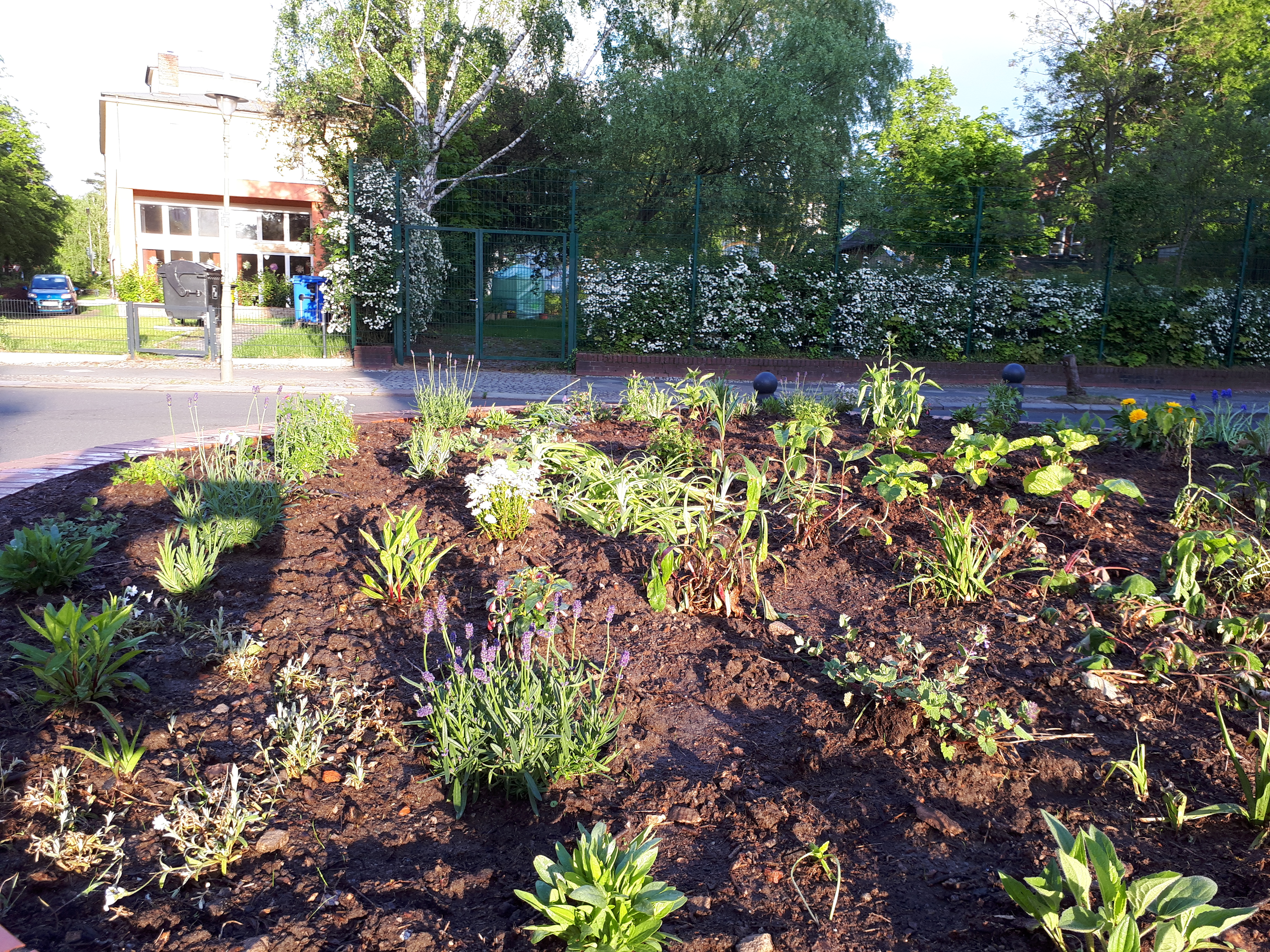 Gartenansicht