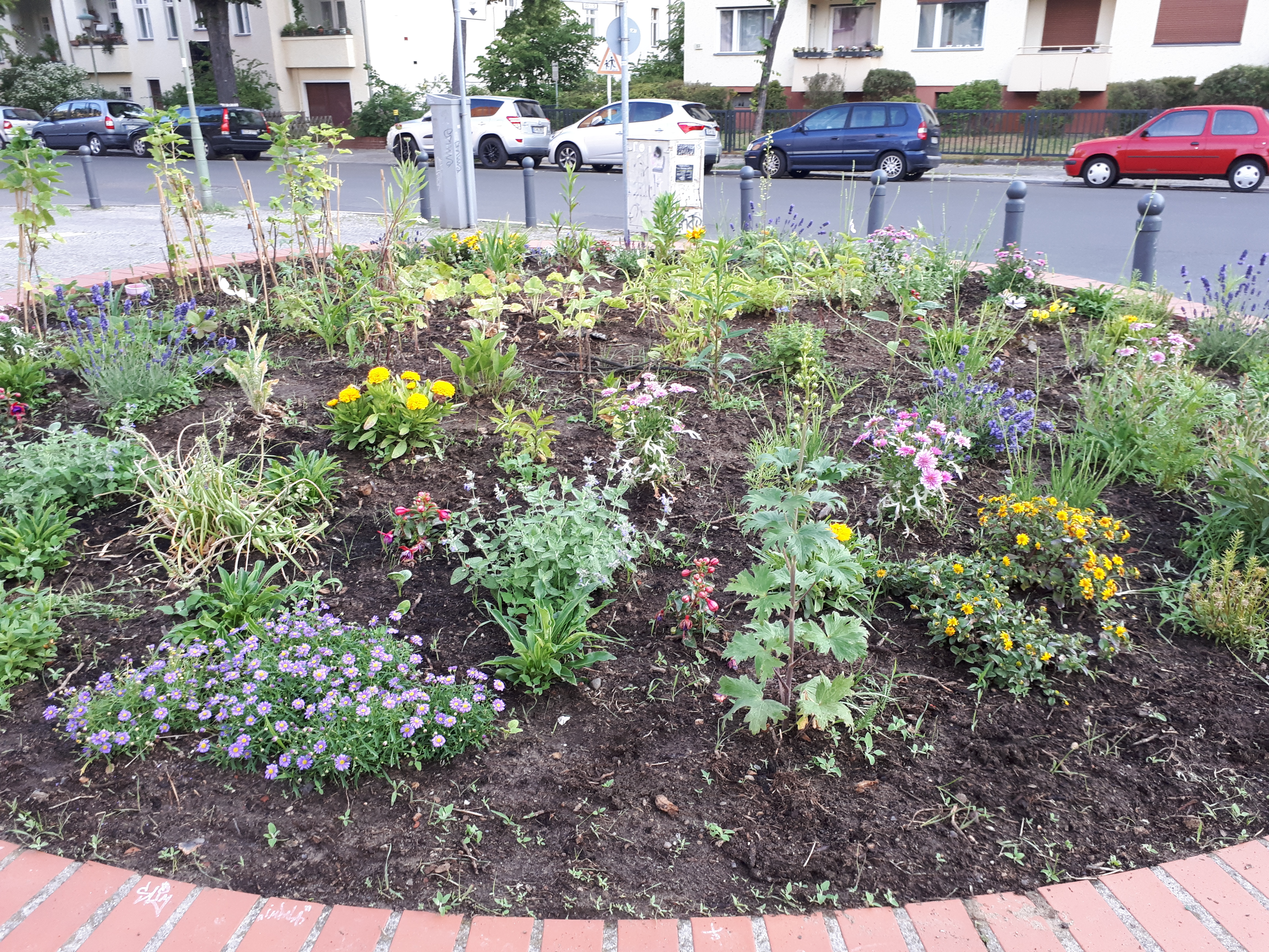 Gartenansicht