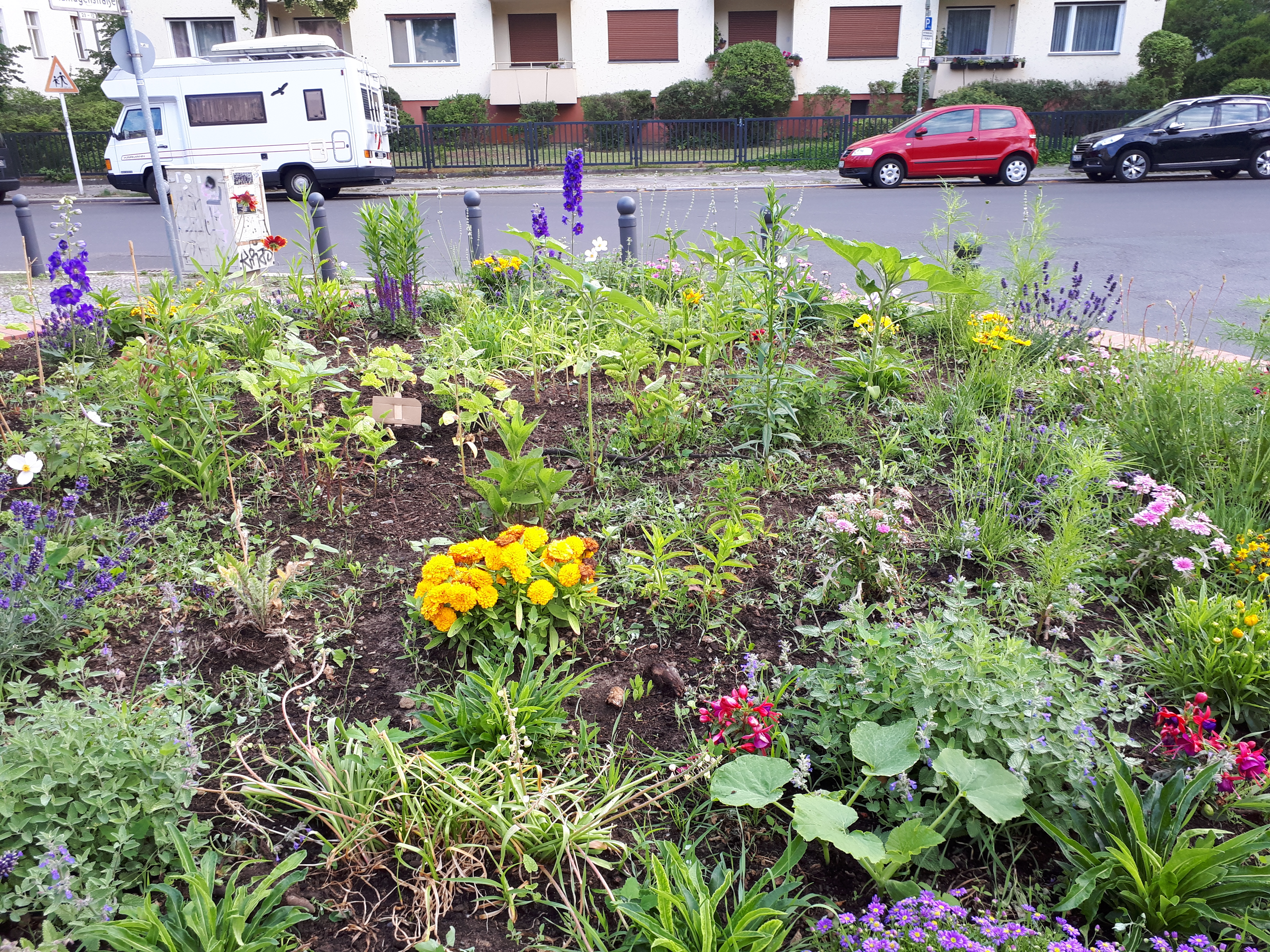 Gartenansicht