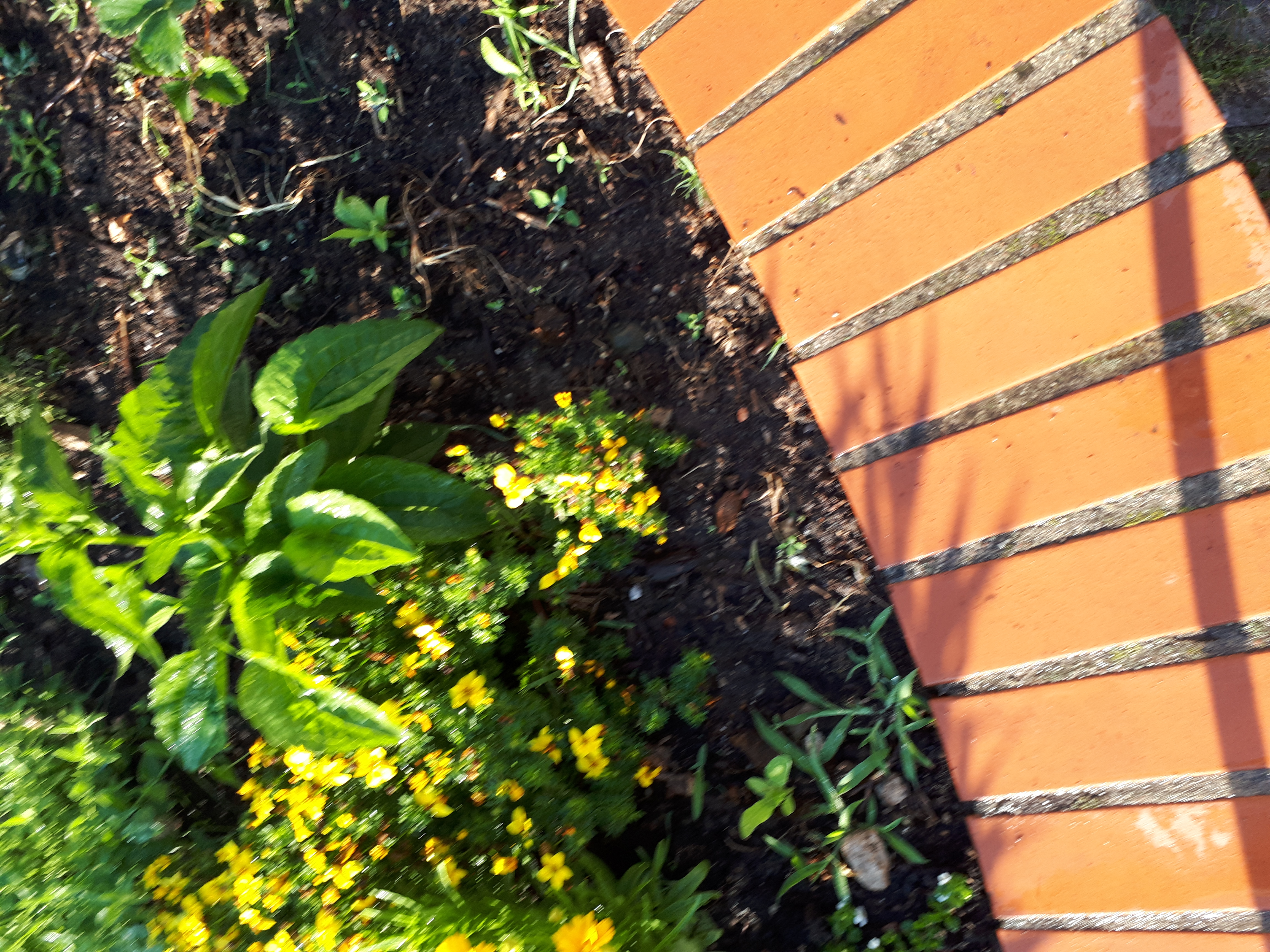 Gartenansicht