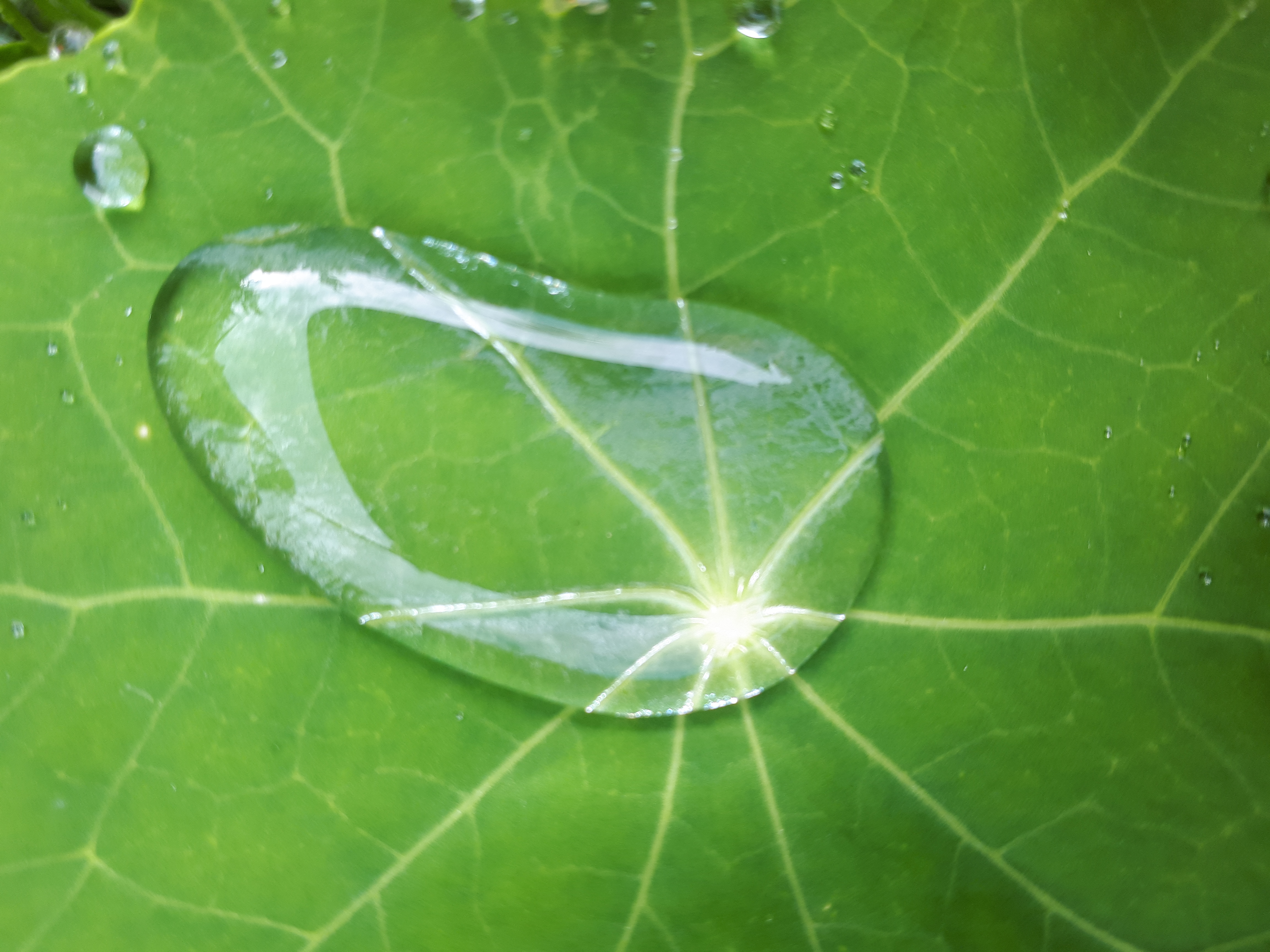 Gartenansicht
