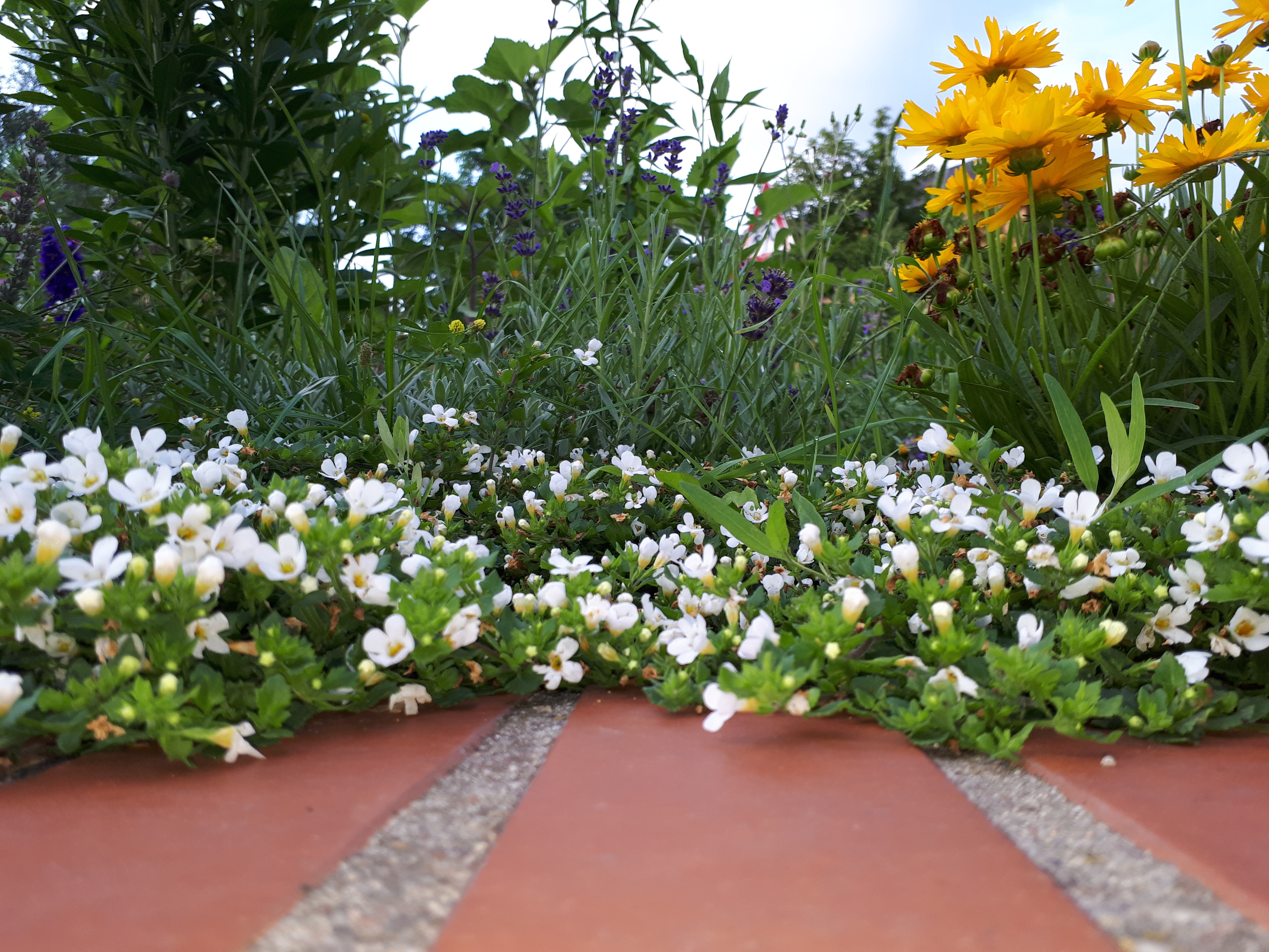 Gartenansicht